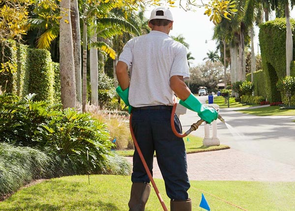About Sprague NE Pest Control
